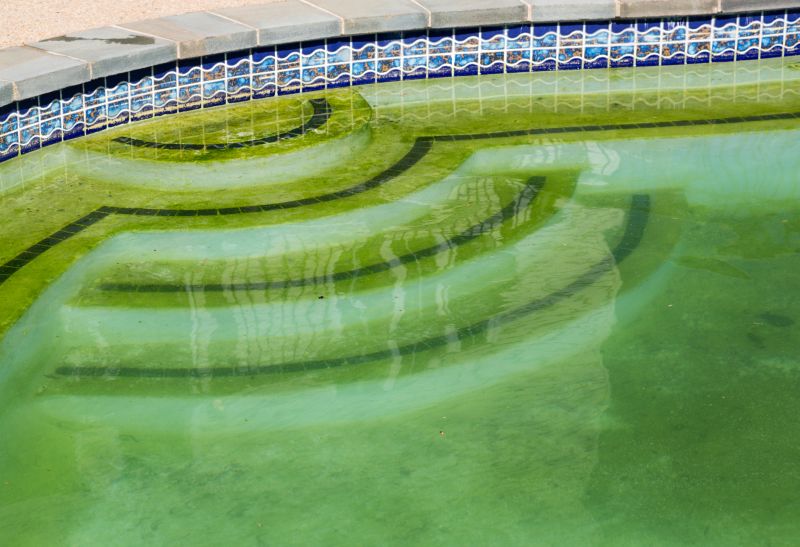 Local Pool Algae Removal in Catonsville, MD