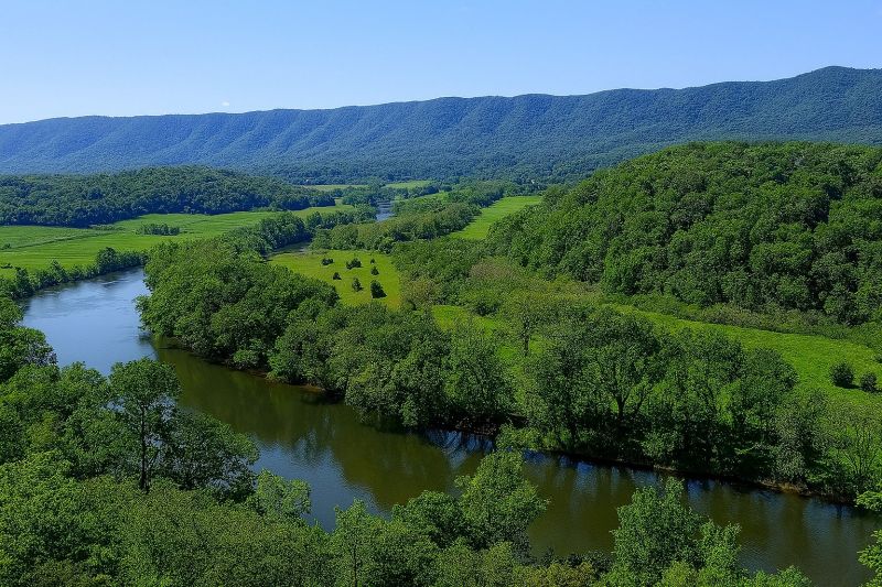 Local Above Ground Pool Repair in Front Royal, VA