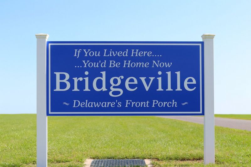 Local Pool Algae Removal in Bridgeville, DE