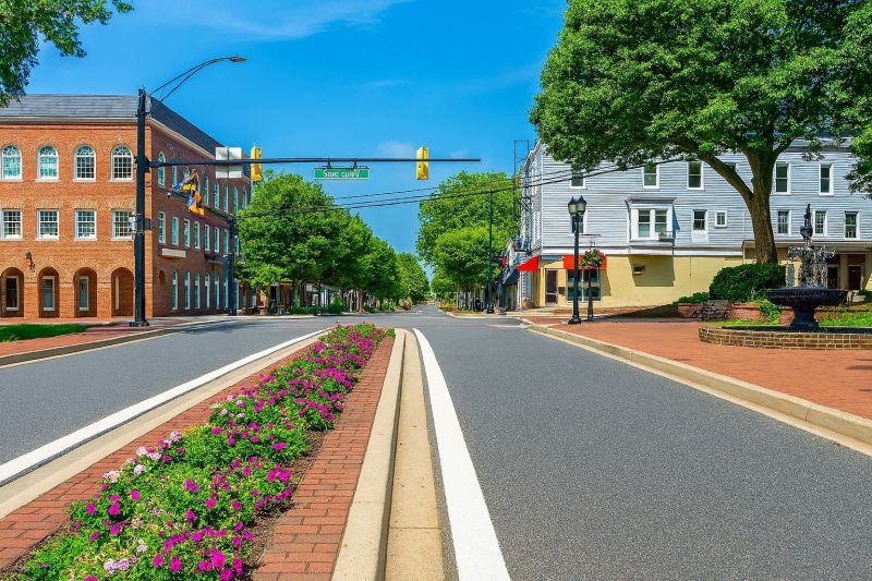 Local Pool Algae Removal in Bel Air, MD