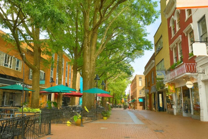 Local Pool Algae Removal in Oakton, VA