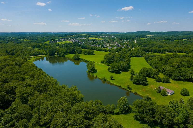 Local Pool Algae Removal in Douglassville, PA