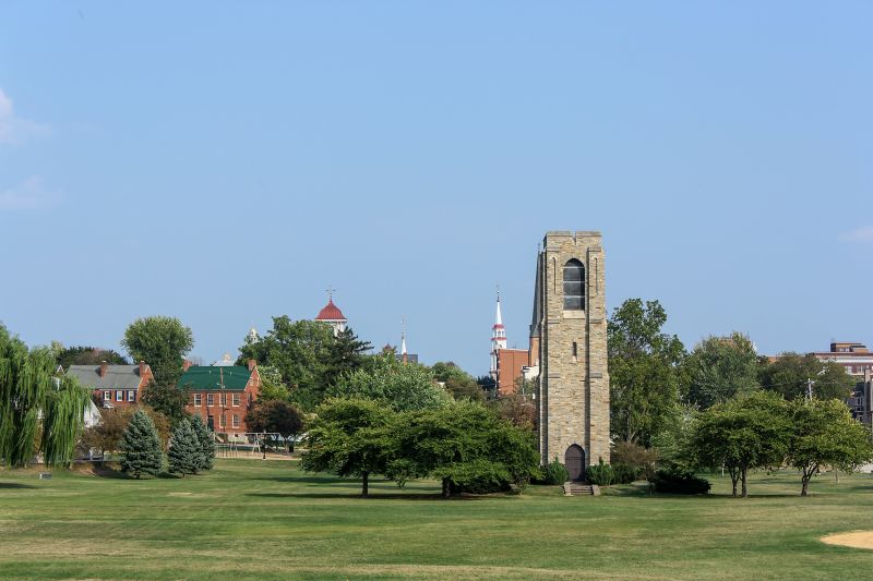 Local Pool Algae Removal in Frederick, MD