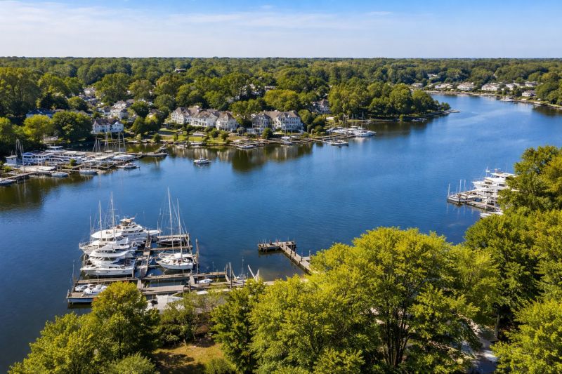 Local Pool Algae Removal in Brandywine, MD