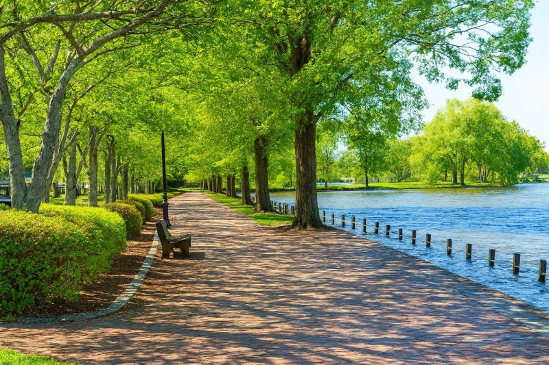 Local Pool Cleaning Service in Locust Grove, VA