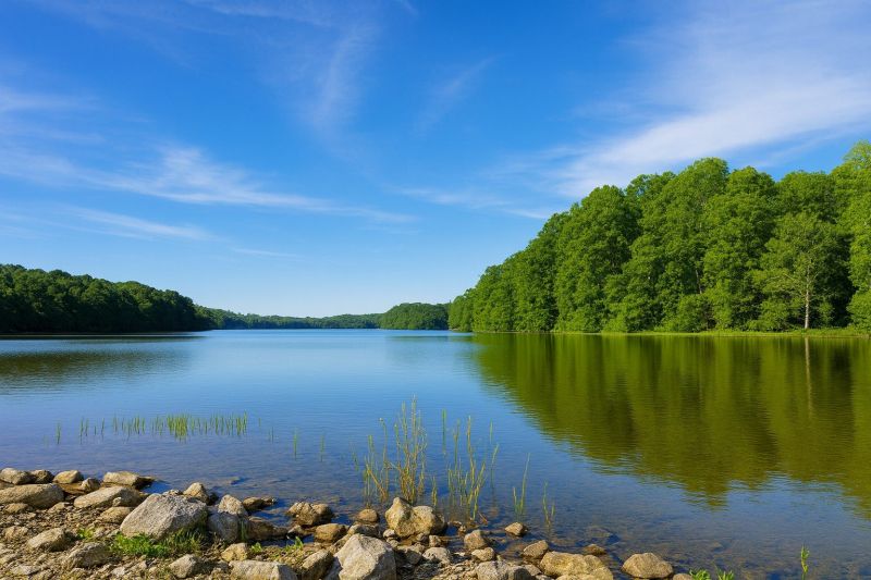 Local Pool Maintenance Service in Burke, VA